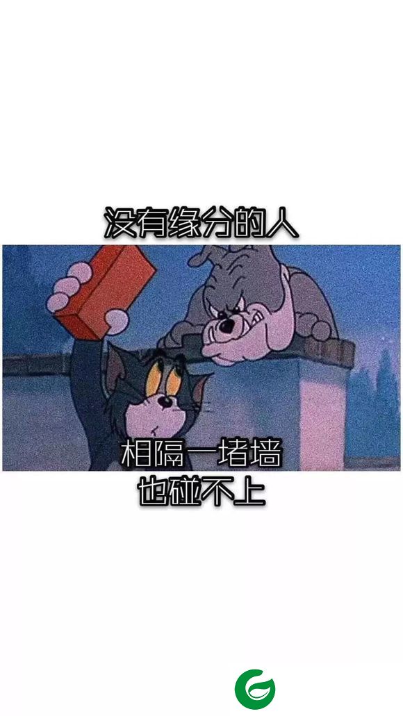 抖音猫和老鼠壁纸截图
