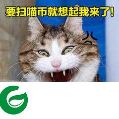 双十一盖楼表情包下载-双十一盖楼表情包高清下载