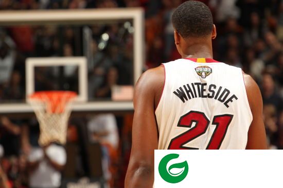 NBA2K16白边MC存档-NBA2K16怀特塞德MC存档下载