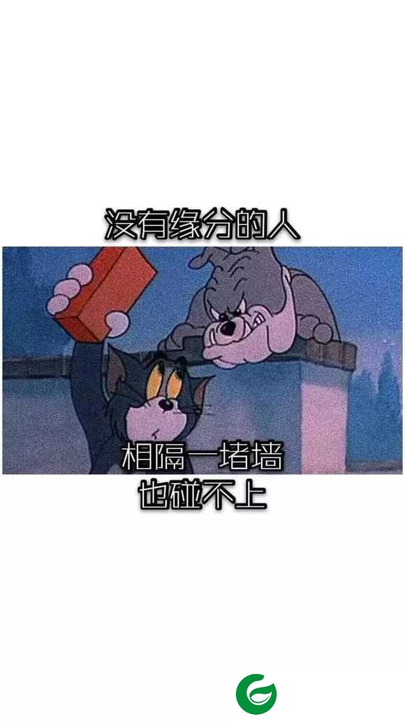 抖音猫和老鼠壁纸下载-抖音猫和老鼠壁纸app下载