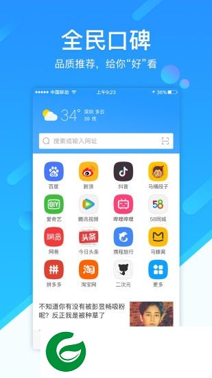 369浏览器