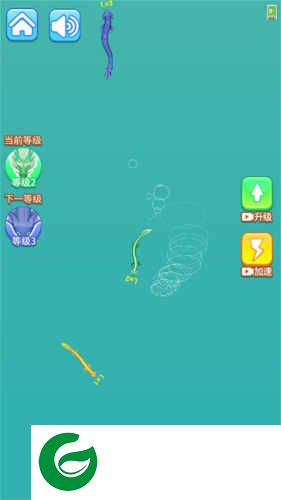 超级蝌蚪进化