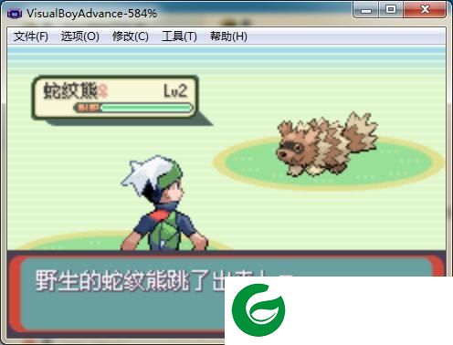 口袋妖怪混沌传说汉化下载-gba口袋妖怪混沌传说下载中文版