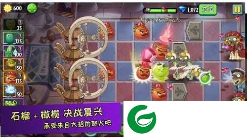 植物超进化