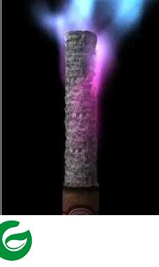 虚拟吸烟模拟器下载-虚拟吸烟模拟器安卓版下载-