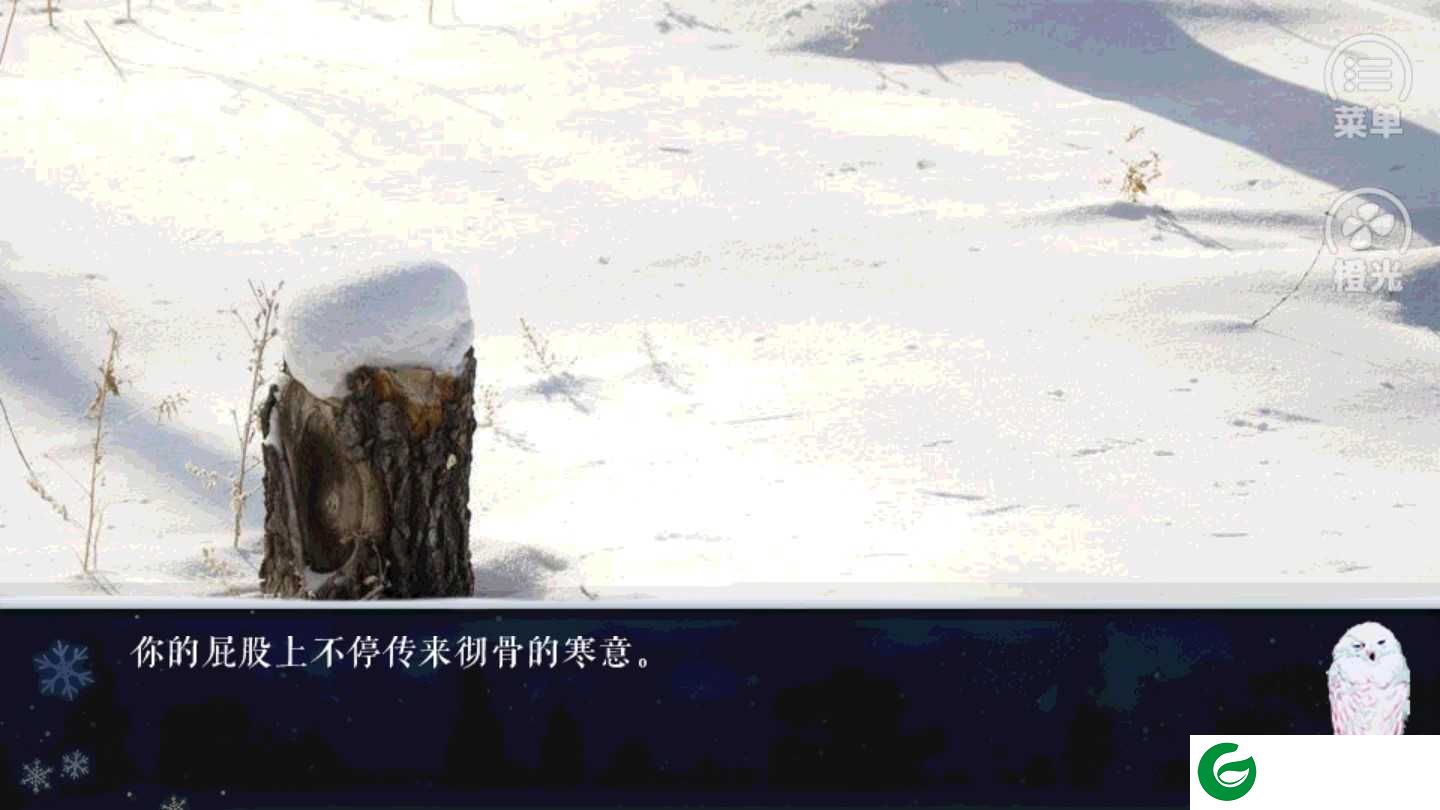 橙光寒夜如春下载-寒夜如春无限鲜花版3.1-
