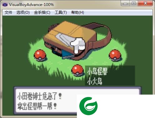 口袋妖怪茜罗娜传记