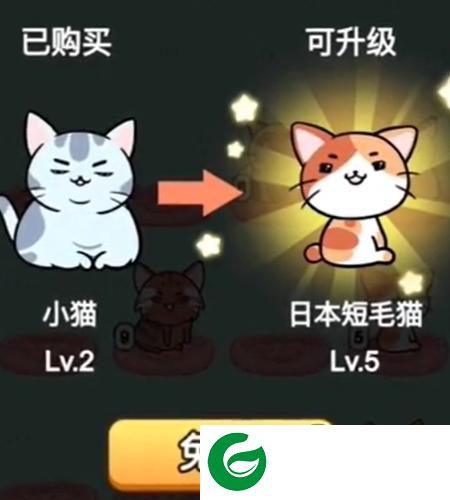猫咪趣味合成