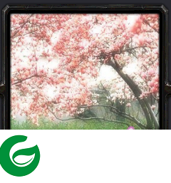 那年的桃源1.1-那年的桃源v1.1_魔兽rpg地图下载附隐藏英雄密码