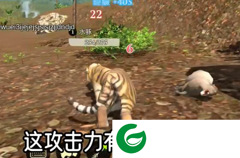 虎王模拟器