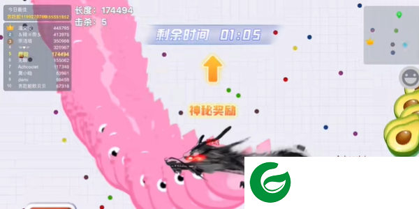 神龙来袭