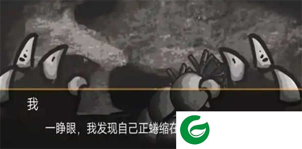 大熊二熊生存日记