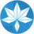 美食大战老鼠枫叶辅助下载-枫叶美食大战老鼠辅助下载v1.3 最新版