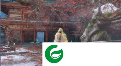 只狼MOD下载-只狼影逝二度金丝祥云服饰MOD下载-