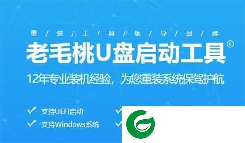 老毛桃pe电脑版下载_老毛桃pe电脑版免费版下载