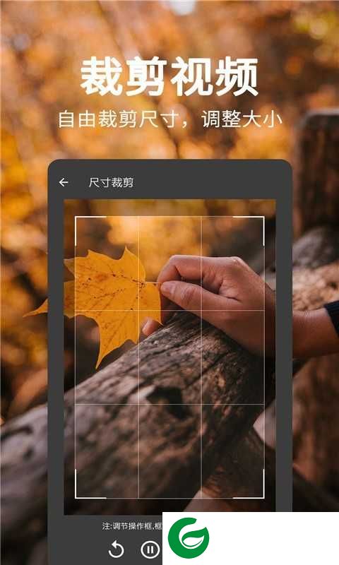 一键视频去水印免费下载_一键视频去水印app下载安装35