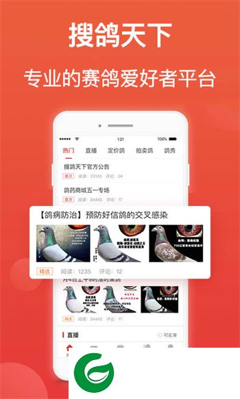 搜鸽天下查信鸽成绩足环下载-搜鸽天下一查信鸽成绩下载v2.2.1.17 安卓版