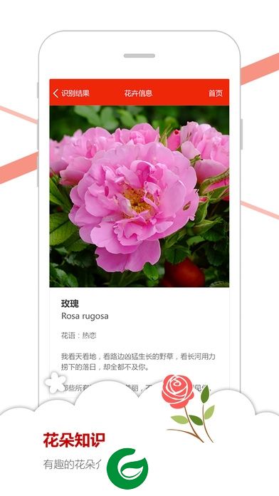 微软识花手机版-微软识花官方app(暂未上线)v1.0 安卓最新版