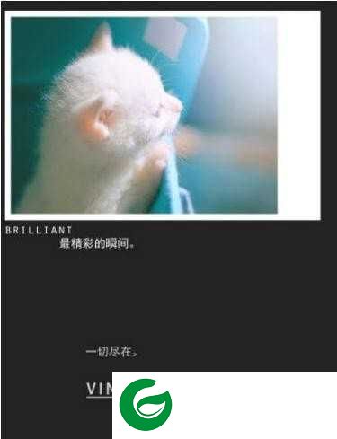 复古怀旧相机下载-复古怀旧相机手机版app下载