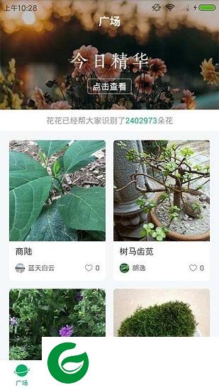 花花识花app下载-花花识花微信小程序下载v1.0.0 安卓版