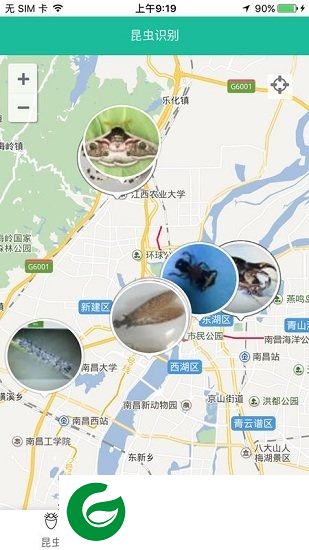 江西昆虫app下载-江西昆虫识别软件下载v1.1.8 安卓版