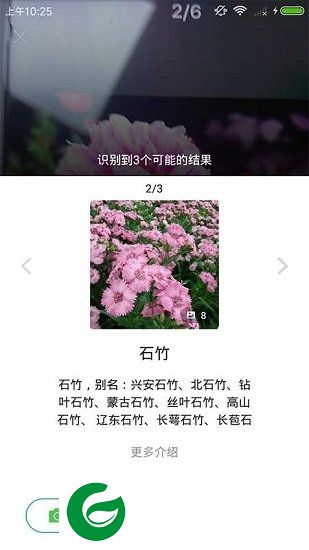 花花识花app下载-花花识花微信小程序下载v1.0.0 安卓版