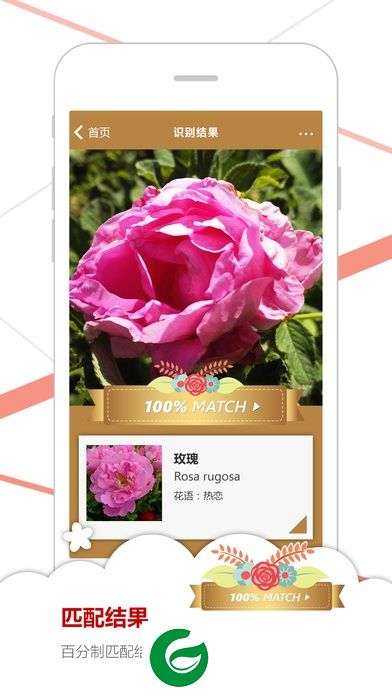 微软识花手机版-微软识花官方app(暂未上线)v1.0 安卓最新版