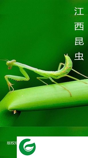 江西昆虫app下载-江西昆虫识别软件下载v1.1.8 安卓版