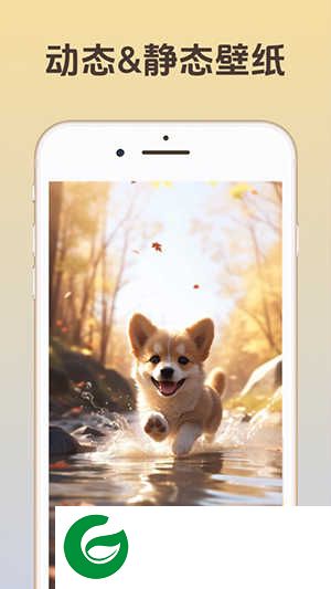 themepack app icons widgets下载-ThemePack主题下载v1.0.0.1682