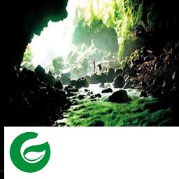 魔兽物种起源第三季-物种起源第三季百兽争霸_魔兽生存地图下载附地图攻略