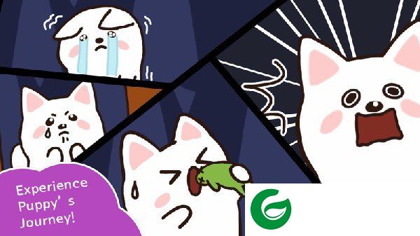 刷机之家