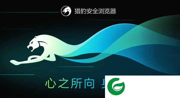 猎豹浏览器2024最新版下载-猎豹浏览器电脑版下载