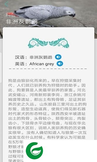 天天识别app下载-天天识别下载v1.0 安卓版
