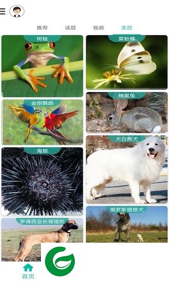 天天识别app下载-天天识别下载v1.0 安卓版