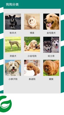 汪汪狗语翻译app下载-汪汪狗语翻译下载v11.0.1 安卓版