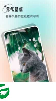 清壁纸APP最新版下载_清壁纸手机安卓版下载2.1.1