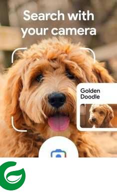 谷歌搜索app下载-谷歌搜索引擎google下载v15.15.39.28.x86_64