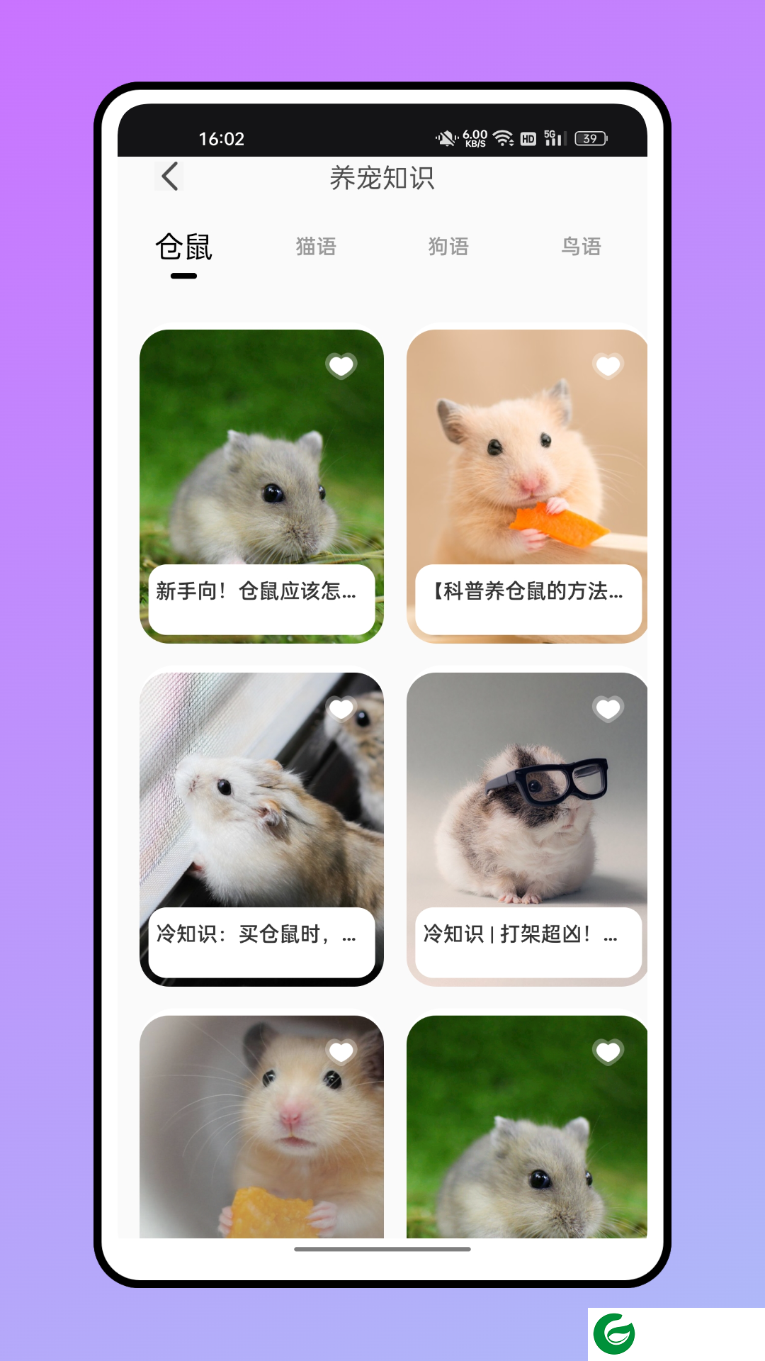 仓鼠翻译器免费下载_仓鼠翻译器软件下载1.0.2