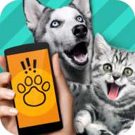 PET TRANSLATOR中文版下载_PET TRANSLATOR下载正版最新1.1