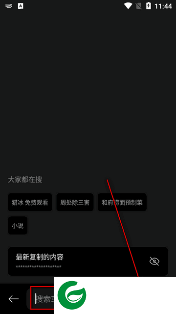 迅雷浏览器
