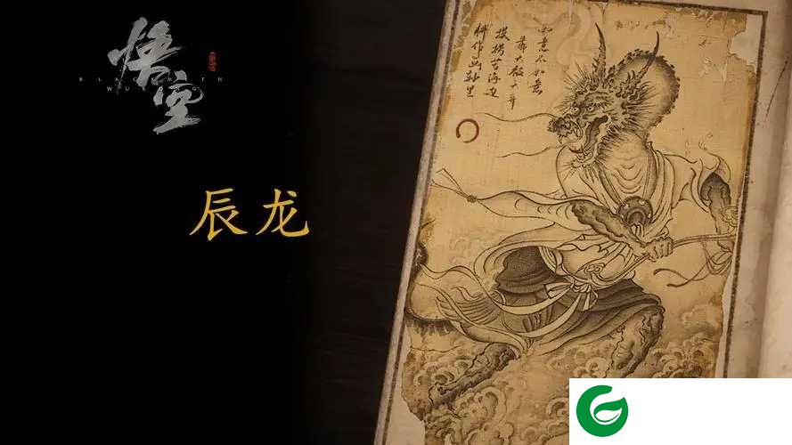 黑神话悟空MOD下载-黑神话悟空辰龙药园优化MOD下载-