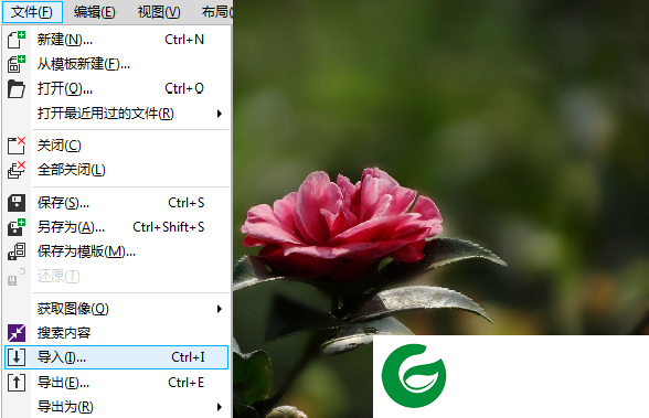 CORLDRAW免费版截图