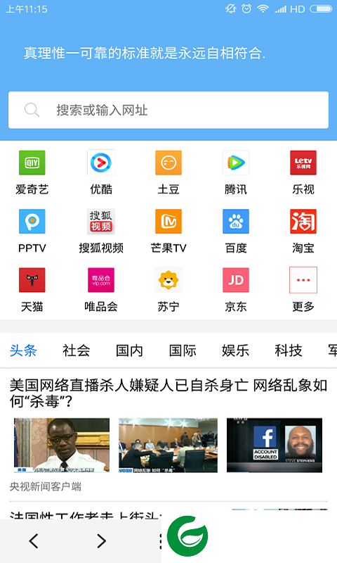 vip浏览器