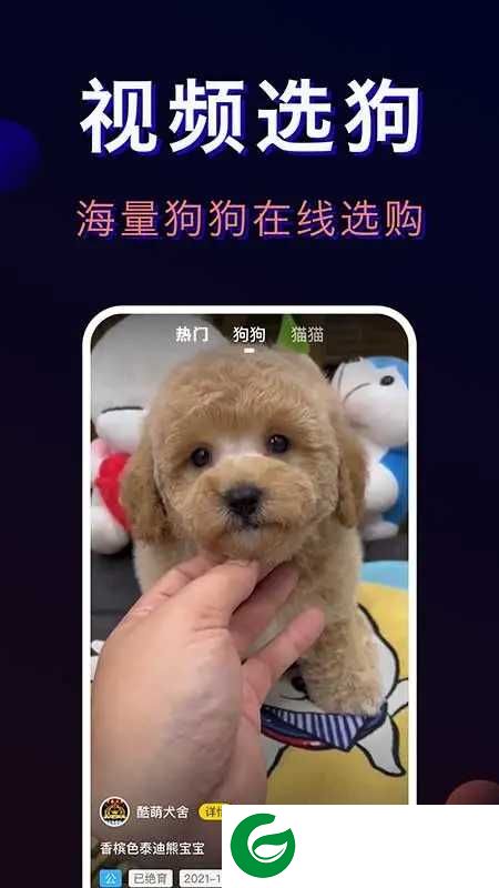 宠物宝APP下载_宠物宝官方正版下载4.1.0