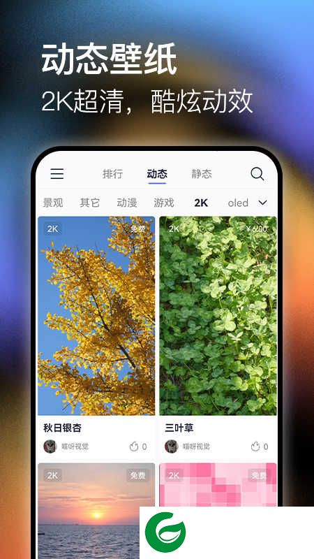 极壁纸app下载最新版_极壁纸app免费版下载1.1.1