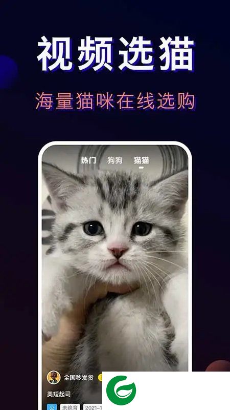 宠物宝