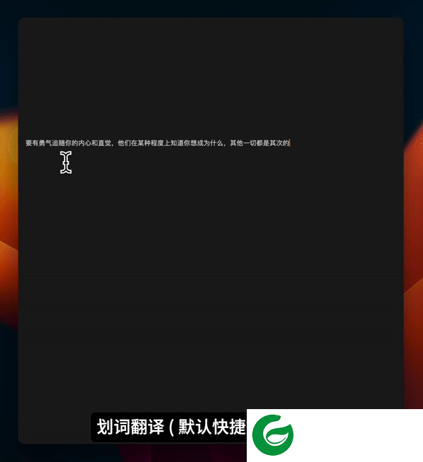 TTime翻译