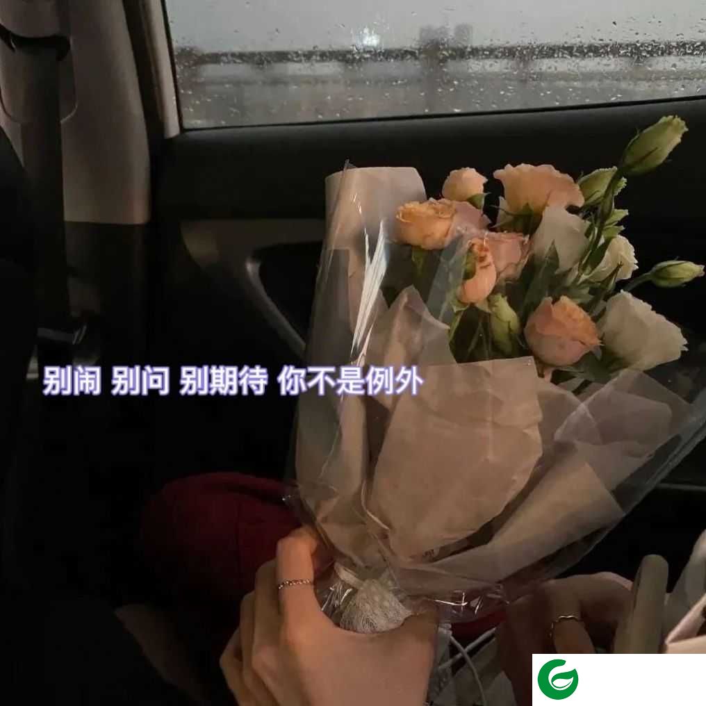 抖音别闹别问别期待你不是例外图片高清版下载-别闹别问别期待你不是例外图片下载