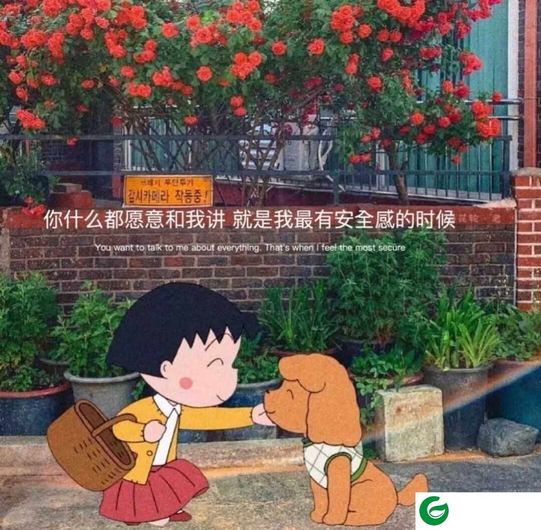抖音别闹别问别期待你不是例外图片高清版下载-别闹别问别期待你不是例外图片下载