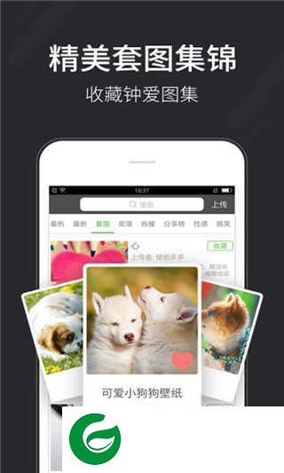 壁纸多多官方版下载安装_壁纸多多官方版免费下载6.5.3.0